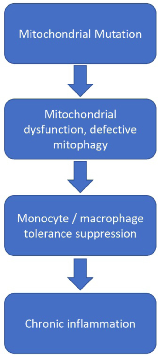 Fig. (2)