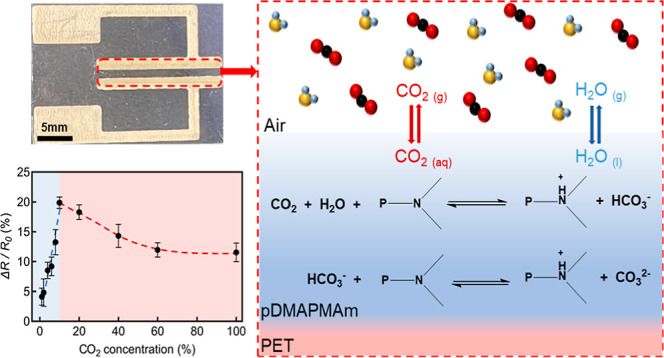 graphic file with name ao2c00914_0016.jpg