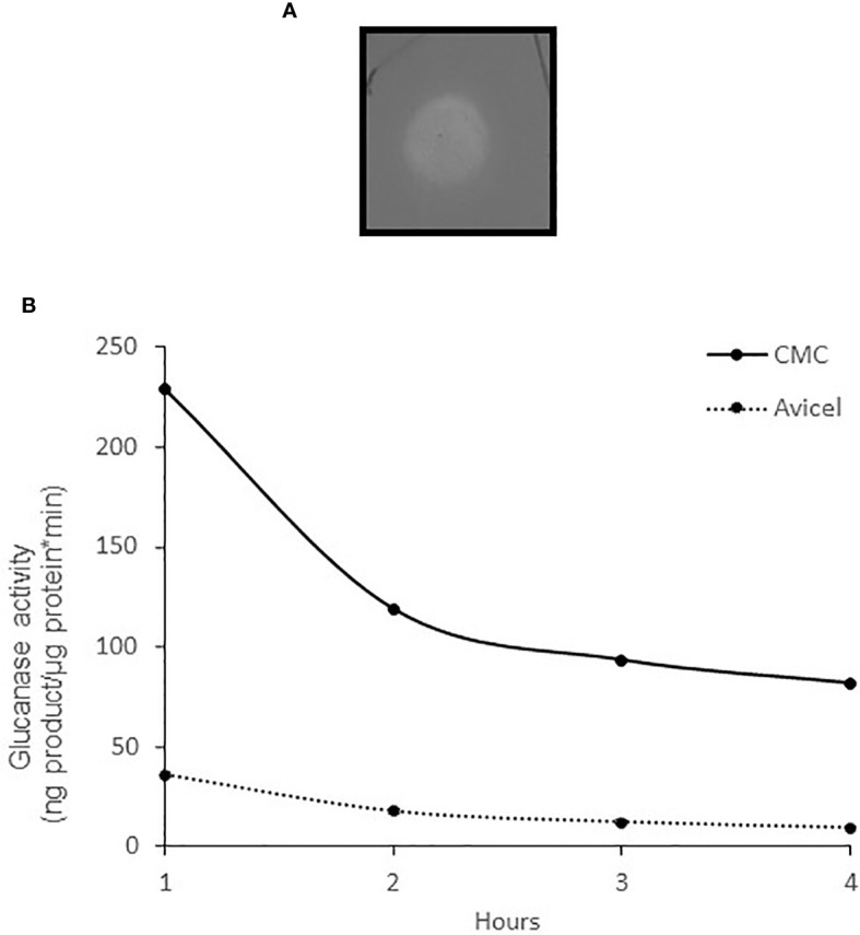 Figure 2