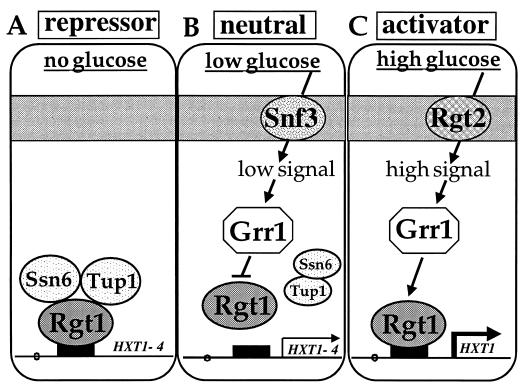 FIG. 5