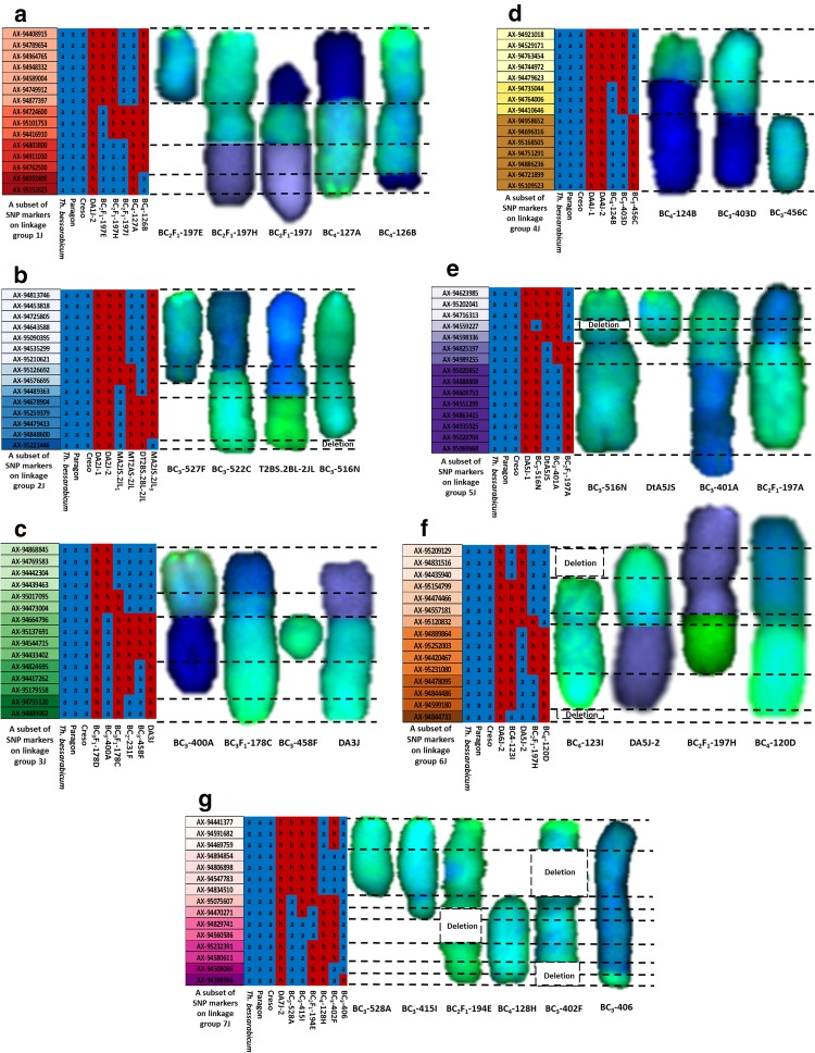 Fig. 4