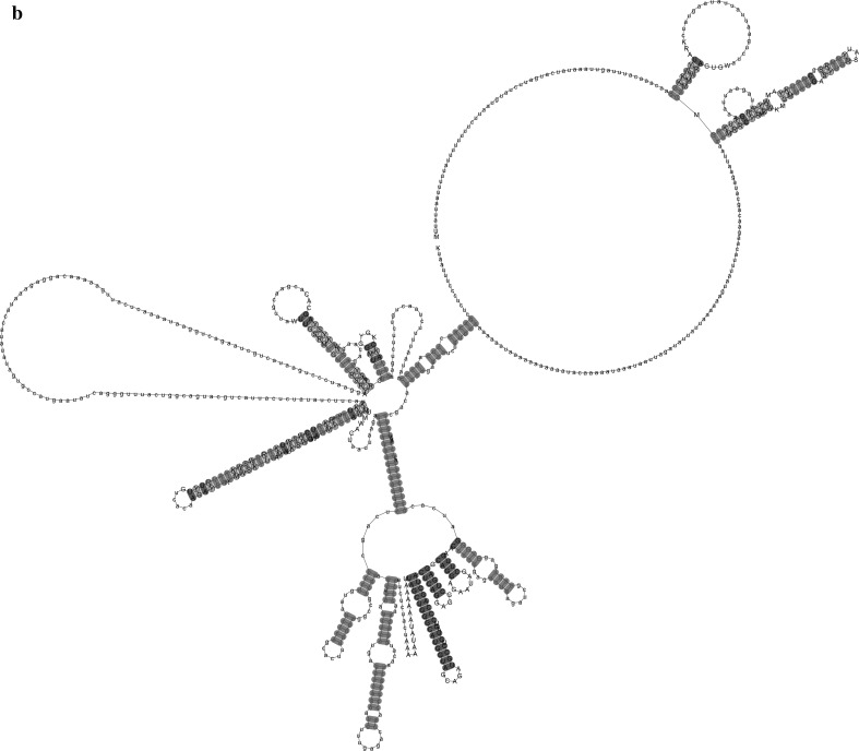 Fig. 4