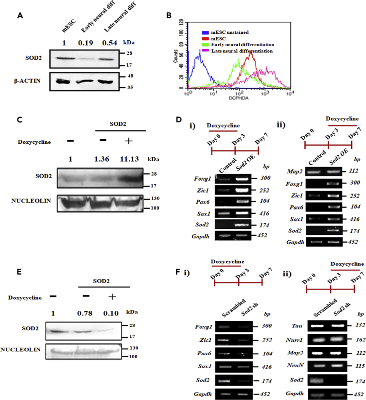 Figure 2