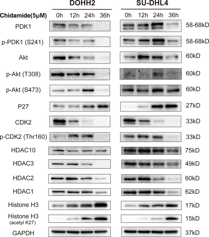 Figure 6