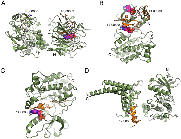 Fig. 1