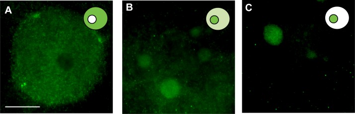 FIG. 3