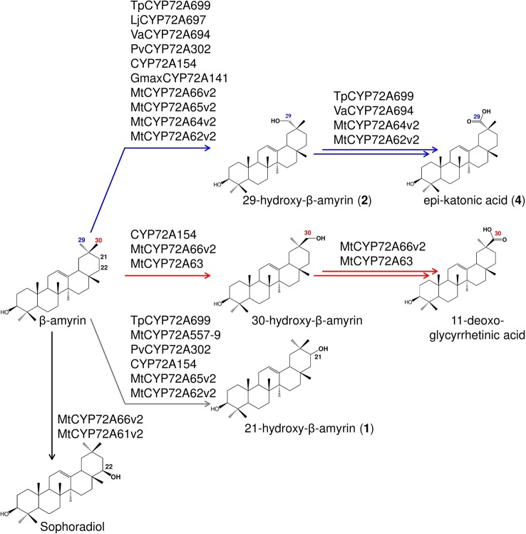 Figure 7