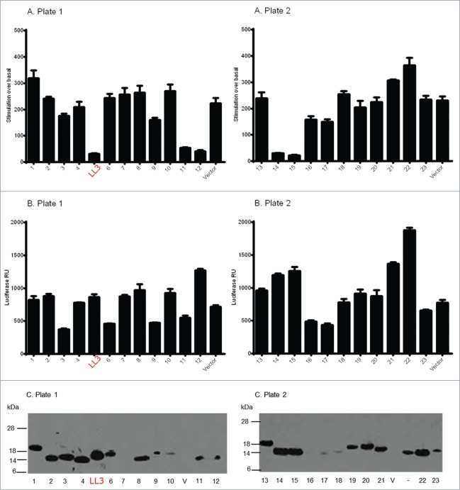 Figure 3.