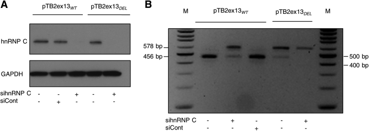 Figure 4