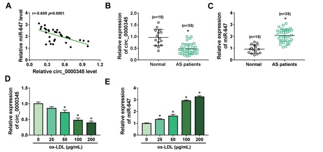 Fig.1. Expression of miR-647 and circ_0000345 was negatively correlated in the AS patient’s serum.