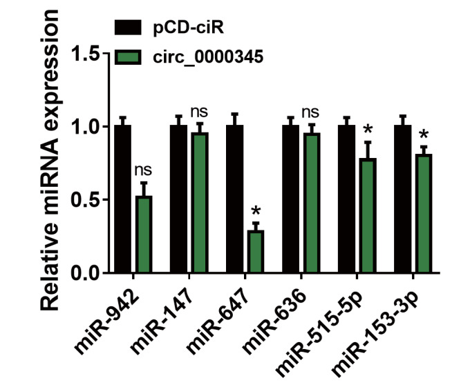 Supplementary Fig.2.