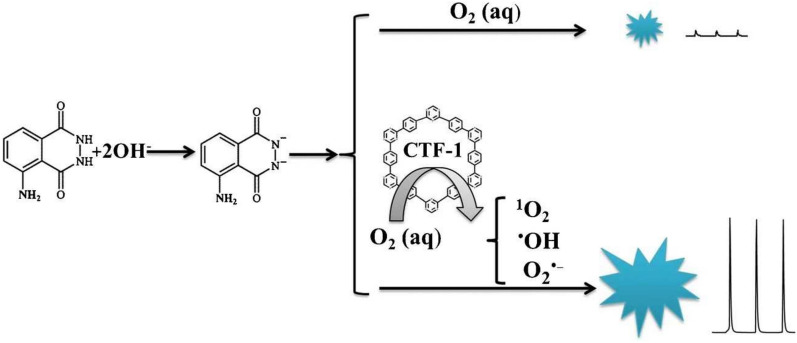 Fig. 5