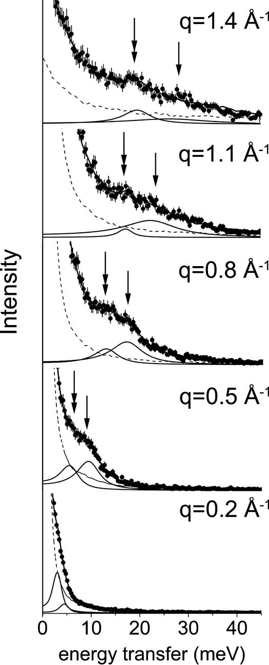 Fig. 1.