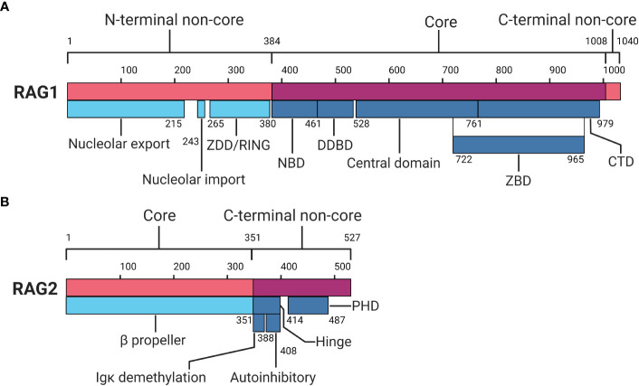 Figure 2