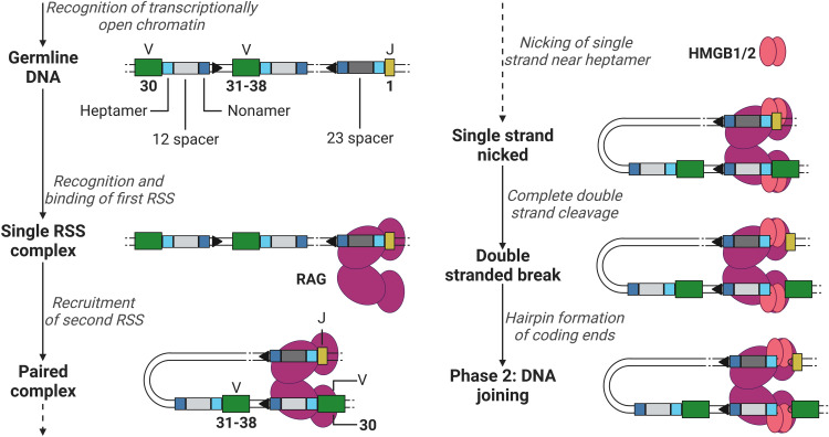 Figure 3