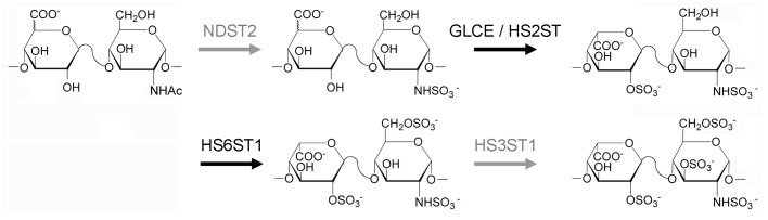 Figure 3. 