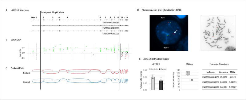 FIGURE 1