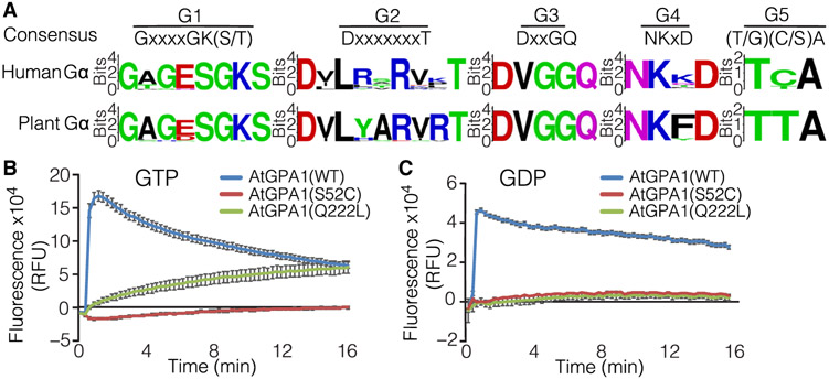 Fig. 1.