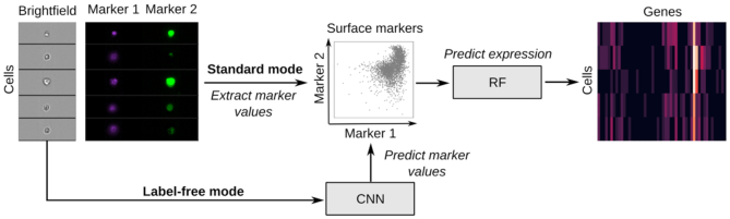 Figure 1.