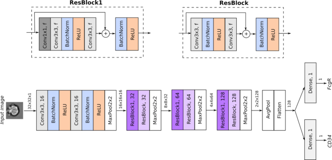 Figure 2.