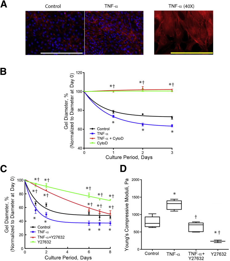 Figure 6