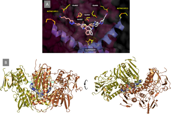 Figure 7