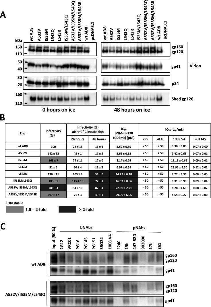 Fig 10