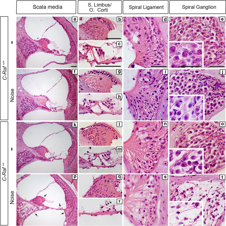 Fig. 6