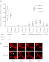 Fig. 3.