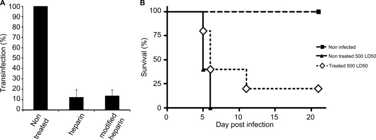 FIG 5 