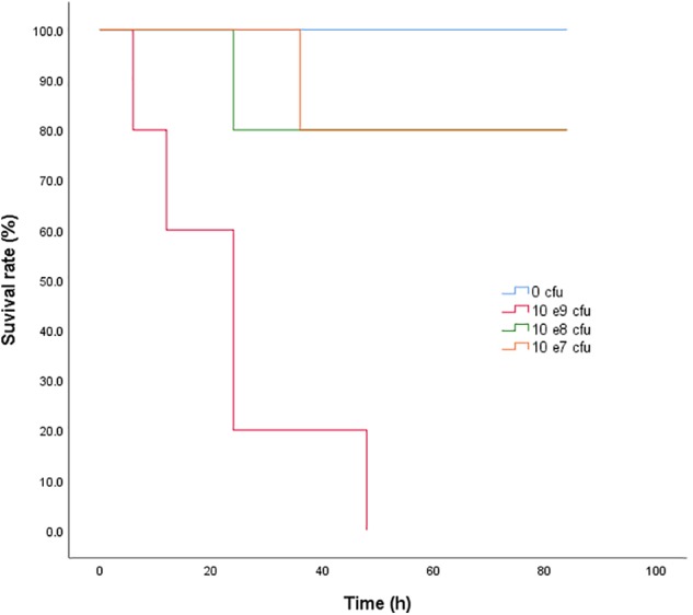 FIGURE 2