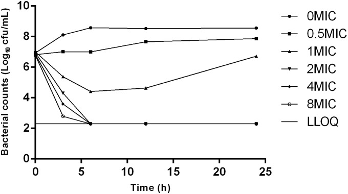 FIGURE 1