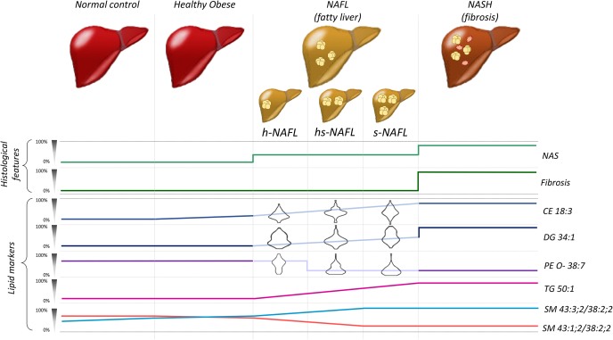 Figure 5