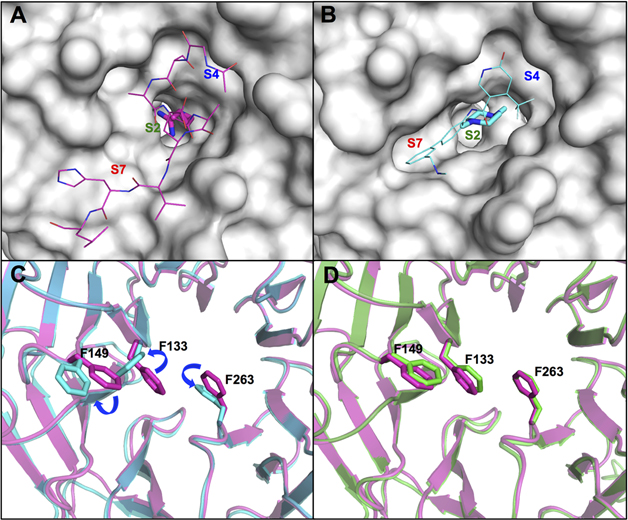 Figure 4.