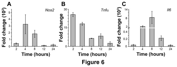 Figure 6