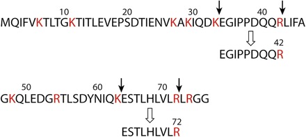 Fig. 11