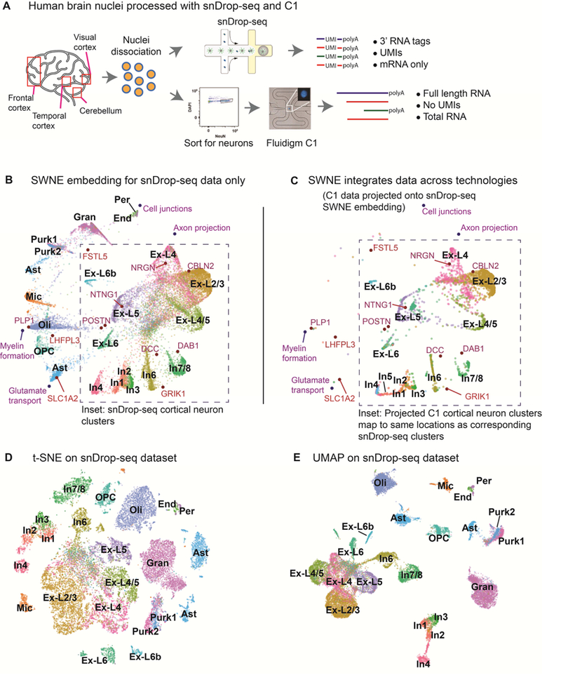 Figure 3: