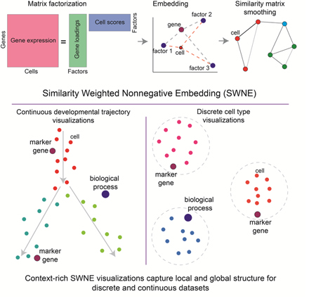 graphic file with name nihms-1511795-f0005.jpg