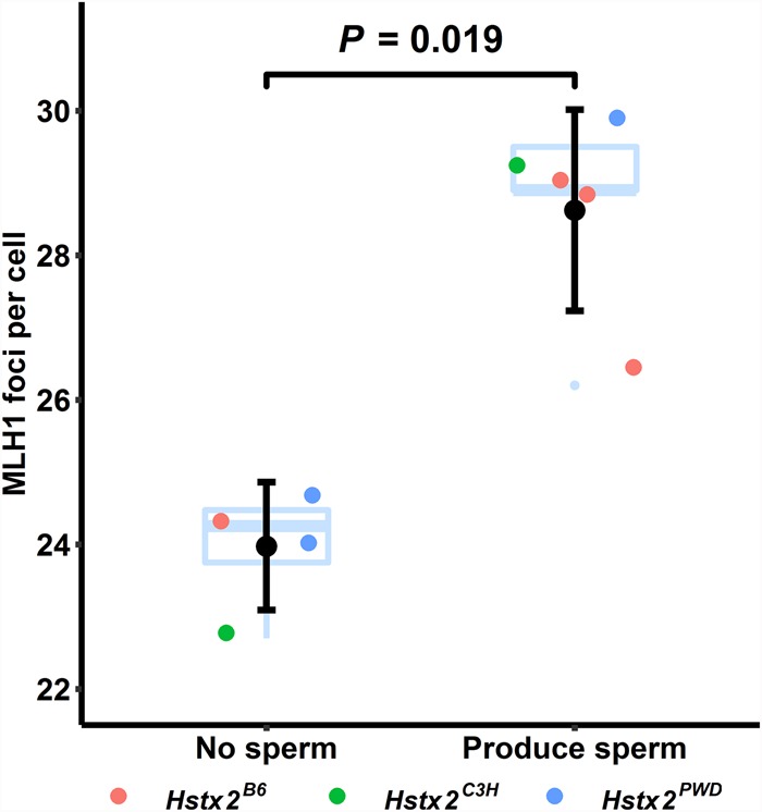 Figure 5.