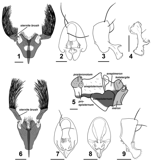 Figures 1–9.