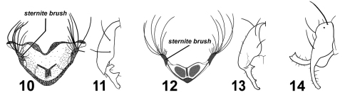 Figures 10–14.