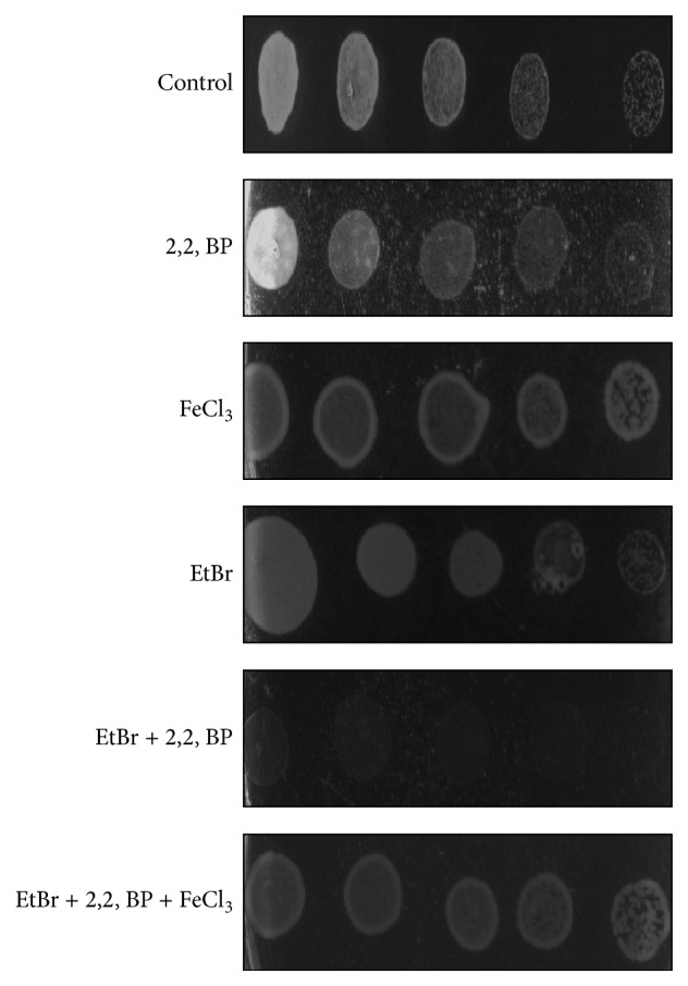 Figure 7