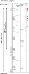 Fig. 2