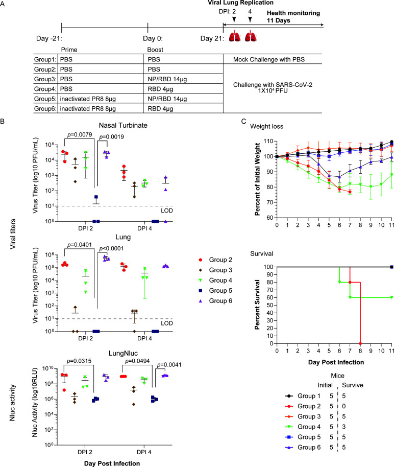 Fig 6