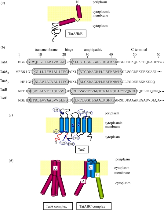 Figure 2.