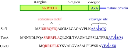 Figure 1.