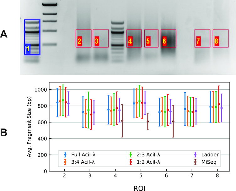 Figure 5.