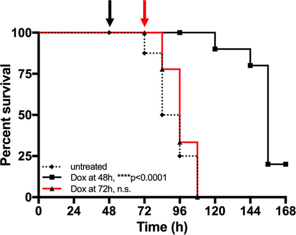 FIG 6