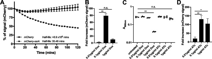 FIG 2