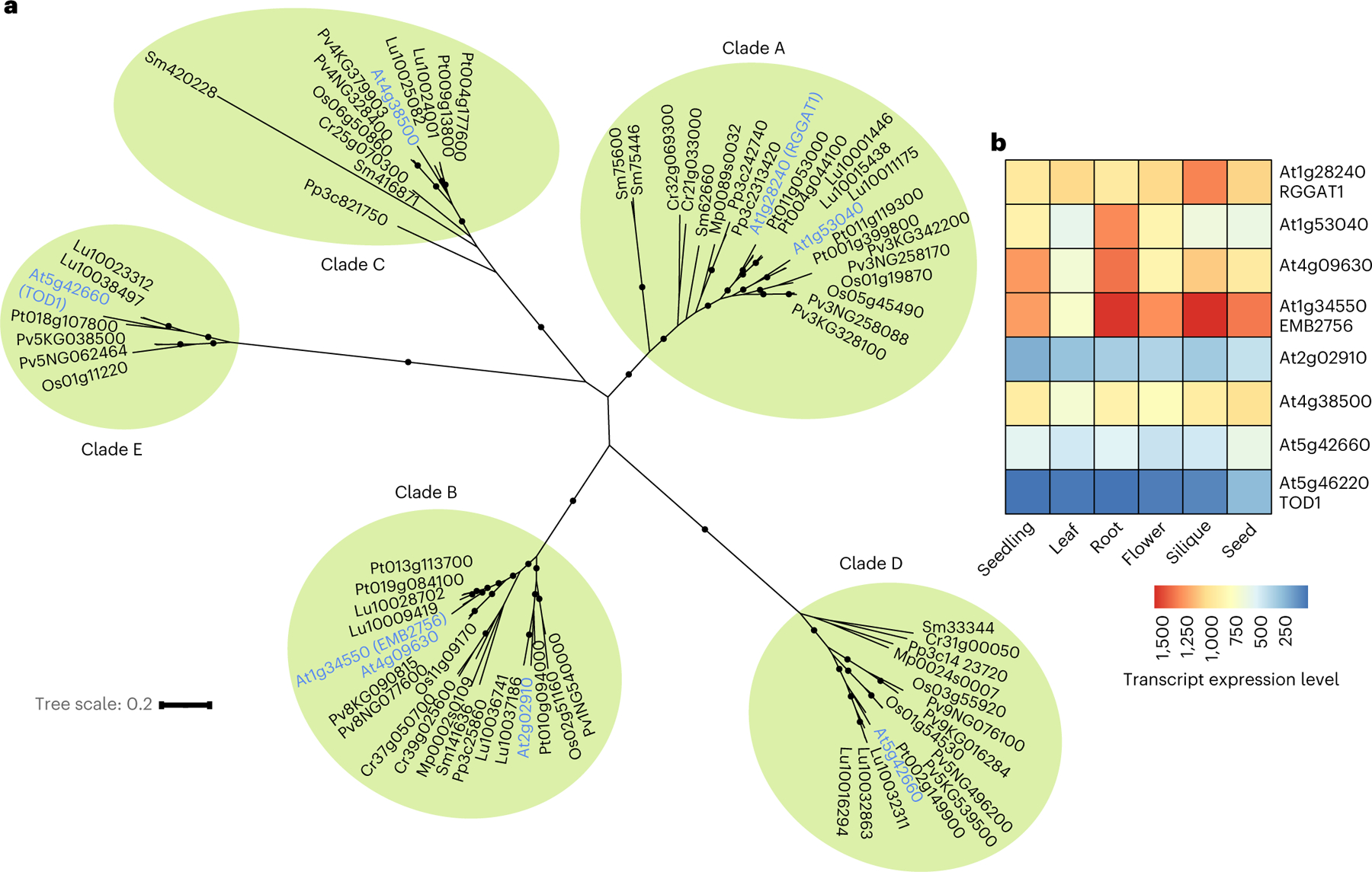 Fig. 7 |